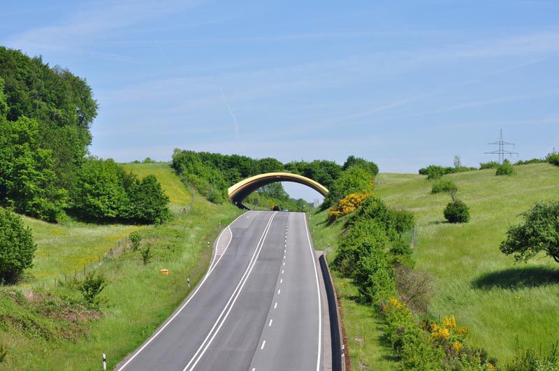Wildlife overpass